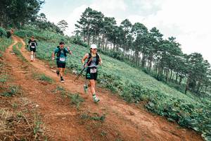 BIB: 
                            <button type="button" onclick="openModal(25506237)" class="btn btn-primary btn-sm float-right btn-popup" data-toggle="modal" data-target=".modal-high-quality">
                        <i class="fas fa-shopping-cart"></i> Add to Cart
                    </button>
                                            <button type="button" onclick="isThisMe(25506237, true)" class="btn btn-success btn-sm float-right btn-popup btn-isme hidden" data-toggle="tooltip" data-placement="bottom" title="นี่คือรูปของคุณใช่ไหม คลิกที่นี่เพื่อเอาเข้าอัลบั้ม">
                        <i class="fas fa-plus"></i> Add to album
                    </button>
                    <button type="button" onclick="isThisMe(25506237, false)" class="btn btn-warning btn-sm float-right btn-popup btn-isnotme hidden">
                        <i class="fas fa-ban"></i> Remove from album
                    </button>