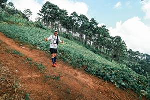 BIB: 
                            <button type="button" onclick="openModal(25510109)" class="btn btn-primary btn-sm float-right btn-popup" data-toggle="modal" data-target=".modal-high-quality">
                        <i class="fas fa-shopping-cart"></i> Add to Cart
                    </button>
                                            <button type="button" onclick="isThisMe(25510109, true)" class="btn btn-success btn-sm float-right btn-popup btn-isme hidden" data-toggle="tooltip" data-placement="bottom" title="นี่คือรูปของคุณใช่ไหม คลิกที่นี่เพื่อเอาเข้าอัลบั้ม">
                        <i class="fas fa-plus"></i> Add to album
                    </button>
                    <button type="button" onclick="isThisMe(25510109, false)" class="btn btn-warning btn-sm float-right btn-popup btn-isnotme hidden">
                        <i class="fas fa-ban"></i> Remove from album
                    </button>