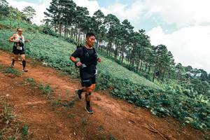 BIB: 
                            <button type="button" onclick="openModal(25506027)" class="btn btn-primary btn-sm float-right btn-popup" data-toggle="modal" data-target=".modal-high-quality">
                        <i class="fas fa-shopping-cart"></i> Add to Cart
                    </button>
                                            <button type="button" onclick="isThisMe(25506027, true)" class="btn btn-success btn-sm float-right btn-popup btn-isme hidden" data-toggle="tooltip" data-placement="bottom" title="นี่คือรูปของคุณใช่ไหม คลิกที่นี่เพื่อเอาเข้าอัลบั้ม">
                        <i class="fas fa-plus"></i> Add to album
                    </button>
                    <button type="button" onclick="isThisMe(25506027, false)" class="btn btn-warning btn-sm float-right btn-popup btn-isnotme hidden">
                        <i class="fas fa-ban"></i> Remove from album
                    </button>