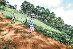 BIB: 
                            <button type="button" onclick="openModal(25517122)" class="btn btn-primary btn-sm float-right btn-popup" data-toggle="modal" data-target=".modal-high-quality">
                        <i class="fas fa-shopping-cart"></i> Add to Cart
                    </button>
                                            <button type="button" onclick="isThisMe(25517122, true)" class="btn btn-success btn-sm float-right btn-popup btn-isme hidden" data-toggle="tooltip" data-placement="bottom" title="นี่คือรูปของคุณใช่ไหม คลิกที่นี่เพื่อเอาเข้าอัลบั้ม">
                        <i class="fas fa-plus"></i> Add to album
                    </button>
                    <button type="button" onclick="isThisMe(25517122, false)" class="btn btn-warning btn-sm float-right btn-popup btn-isnotme hidden">
                        <i class="fas fa-ban"></i> Remove from album
                    </button>