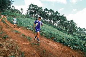 BIB: 
                            <button type="button" onclick="openModal(25508079)" class="btn btn-primary btn-sm float-right btn-popup" data-toggle="modal" data-target=".modal-high-quality">
                        <i class="fas fa-shopping-cart"></i> Add to Cart
                    </button>
                                            <button type="button" onclick="isThisMe(25508079, true)" class="btn btn-success btn-sm float-right btn-popup btn-isme hidden" data-toggle="tooltip" data-placement="bottom" title="นี่คือรูปของคุณใช่ไหม คลิกที่นี่เพื่อเอาเข้าอัลบั้ม">
                        <i class="fas fa-plus"></i> Add to album
                    </button>
                    <button type="button" onclick="isThisMe(25508079, false)" class="btn btn-warning btn-sm float-right btn-popup btn-isnotme hidden">
                        <i class="fas fa-ban"></i> Remove from album
                    </button>