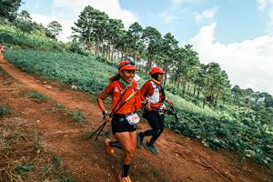 BIB: 
                            <button type="button" onclick="openModal(25508783)" class="btn btn-primary btn-sm float-right btn-popup" data-toggle="modal" data-target=".modal-high-quality">
                        <i class="fas fa-shopping-cart"></i> Add to Cart
                    </button>
                                            <button type="button" onclick="isThisMe(25508783, true)" class="btn btn-success btn-sm float-right btn-popup btn-isme hidden" data-toggle="tooltip" data-placement="bottom" title="นี่คือรูปของคุณใช่ไหม คลิกที่นี่เพื่อเอาเข้าอัลบั้ม">
                        <i class="fas fa-plus"></i> Add to album
                    </button>
                    <button type="button" onclick="isThisMe(25508783, false)" class="btn btn-warning btn-sm float-right btn-popup btn-isnotme hidden">
                        <i class="fas fa-ban"></i> Remove from album
                    </button>