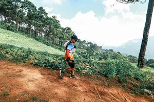 BIB: 
                            <button type="button" onclick="openModal(25509477)" class="btn btn-primary btn-sm float-right btn-popup" data-toggle="modal" data-target=".modal-high-quality">
                        <i class="fas fa-shopping-cart"></i> Add to Cart
                    </button>
                                            <button type="button" onclick="isThisMe(25509477, true)" class="btn btn-success btn-sm float-right btn-popup btn-isme hidden" data-toggle="tooltip" data-placement="bottom" title="นี่คือรูปของคุณใช่ไหม คลิกที่นี่เพื่อเอาเข้าอัลบั้ม">
                        <i class="fas fa-plus"></i> Add to album
                    </button>
                    <button type="button" onclick="isThisMe(25509477, false)" class="btn btn-warning btn-sm float-right btn-popup btn-isnotme hidden">
                        <i class="fas fa-ban"></i> Remove from album
                    </button>