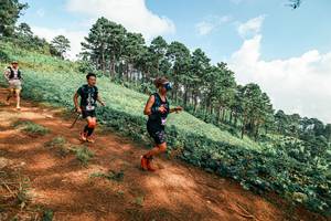 BIB: 
                            <button type="button" onclick="openModal(25508572)" class="btn btn-primary btn-sm float-right btn-popup" data-toggle="modal" data-target=".modal-high-quality">
                        <i class="fas fa-shopping-cart"></i> Add to Cart
                    </button>
                                            <button type="button" onclick="isThisMe(25508572, true)" class="btn btn-success btn-sm float-right btn-popup btn-isme hidden" data-toggle="tooltip" data-placement="bottom" title="นี่คือรูปของคุณใช่ไหม คลิกที่นี่เพื่อเอาเข้าอัลบั้ม">
                        <i class="fas fa-plus"></i> Add to album
                    </button>
                    <button type="button" onclick="isThisMe(25508572, false)" class="btn btn-warning btn-sm float-right btn-popup btn-isnotme hidden">
                        <i class="fas fa-ban"></i> Remove from album
                    </button>