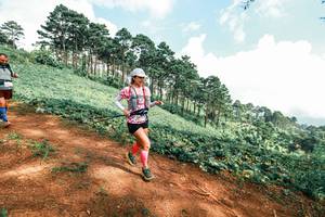 BIB: 
                            <button type="button" onclick="openModal(25508944)" class="btn btn-primary btn-sm float-right btn-popup" data-toggle="modal" data-target=".modal-high-quality">
                        <i class="fas fa-shopping-cart"></i> Add to Cart
                    </button>
                                            <button type="button" onclick="isThisMe(25508944, true)" class="btn btn-success btn-sm float-right btn-popup btn-isme hidden" data-toggle="tooltip" data-placement="bottom" title="นี่คือรูปของคุณใช่ไหม คลิกที่นี่เพื่อเอาเข้าอัลบั้ม">
                        <i class="fas fa-plus"></i> Add to album
                    </button>
                    <button type="button" onclick="isThisMe(25508944, false)" class="btn btn-warning btn-sm float-right btn-popup btn-isnotme hidden">
                        <i class="fas fa-ban"></i> Remove from album
                    </button>