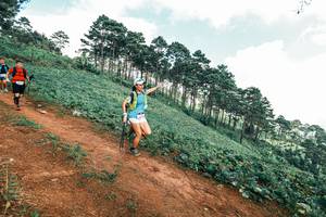 BIB: 
                            <button type="button" onclick="openModal(25515477)" class="btn btn-primary btn-sm float-right btn-popup" data-toggle="modal" data-target=".modal-high-quality">
                        <i class="fas fa-shopping-cart"></i> Add to Cart
                    </button>
                                            <button type="button" onclick="isThisMe(25515477, true)" class="btn btn-success btn-sm float-right btn-popup btn-isme hidden" data-toggle="tooltip" data-placement="bottom" title="นี่คือรูปของคุณใช่ไหม คลิกที่นี่เพื่อเอาเข้าอัลบั้ม">
                        <i class="fas fa-plus"></i> Add to album
                    </button>
                    <button type="button" onclick="isThisMe(25515477, false)" class="btn btn-warning btn-sm float-right btn-popup btn-isnotme hidden">
                        <i class="fas fa-ban"></i> Remove from album
                    </button>