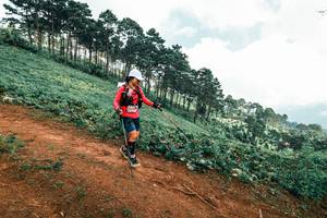 BIB: 
                            <button type="button" onclick="openModal(25505585)" class="btn btn-primary btn-sm float-right btn-popup" data-toggle="modal" data-target=".modal-high-quality">
                        <i class="fas fa-shopping-cart"></i> Add to Cart
                    </button>
                                            <button type="button" onclick="isThisMe(25505585, true)" class="btn btn-success btn-sm float-right btn-popup btn-isme hidden" data-toggle="tooltip" data-placement="bottom" title="นี่คือรูปของคุณใช่ไหม คลิกที่นี่เพื่อเอาเข้าอัลบั้ม">
                        <i class="fas fa-plus"></i> Add to album
                    </button>
                    <button type="button" onclick="isThisMe(25505585, false)" class="btn btn-warning btn-sm float-right btn-popup btn-isnotme hidden">
                        <i class="fas fa-ban"></i> Remove from album
                    </button>