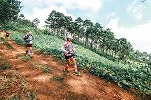 BIB: 
                            <button type="button" onclick="openModal(25508931)" class="btn btn-primary btn-sm float-right btn-popup" data-toggle="modal" data-target=".modal-high-quality">
                        <i class="fas fa-shopping-cart"></i> Add to Cart
                    </button>
                                            <button type="button" onclick="isThisMe(25508931, true)" class="btn btn-success btn-sm float-right btn-popup btn-isme hidden" data-toggle="tooltip" data-placement="bottom" title="นี่คือรูปของคุณใช่ไหม คลิกที่นี่เพื่อเอาเข้าอัลบั้ม">
                        <i class="fas fa-plus"></i> Add to album
                    </button>
                    <button type="button" onclick="isThisMe(25508931, false)" class="btn btn-warning btn-sm float-right btn-popup btn-isnotme hidden">
                        <i class="fas fa-ban"></i> Remove from album
                    </button>