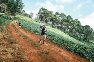 BIB: 
                            <button type="button" onclick="openModal(25508272)" class="btn btn-primary btn-sm float-right btn-popup" data-toggle="modal" data-target=".modal-high-quality">
                        <i class="fas fa-shopping-cart"></i> Add to Cart
                    </button>
                                            <button type="button" onclick="isThisMe(25508272, true)" class="btn btn-success btn-sm float-right btn-popup btn-isme hidden" data-toggle="tooltip" data-placement="bottom" title="นี่คือรูปของคุณใช่ไหม คลิกที่นี่เพื่อเอาเข้าอัลบั้ม">
                        <i class="fas fa-plus"></i> Add to album
                    </button>
                    <button type="button" onclick="isThisMe(25508272, false)" class="btn btn-warning btn-sm float-right btn-popup btn-isnotme hidden">
                        <i class="fas fa-ban"></i> Remove from album
                    </button>