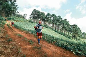 BIB: 
                            <button type="button" onclick="openModal(25508982)" class="btn btn-primary btn-sm float-right btn-popup" data-toggle="modal" data-target=".modal-high-quality">
                        <i class="fas fa-shopping-cart"></i> Add to Cart
                    </button>
                                            <button type="button" onclick="isThisMe(25508982, true)" class="btn btn-success btn-sm float-right btn-popup btn-isme hidden" data-toggle="tooltip" data-placement="bottom" title="นี่คือรูปของคุณใช่ไหม คลิกที่นี่เพื่อเอาเข้าอัลบั้ม">
                        <i class="fas fa-plus"></i> Add to album
                    </button>
                    <button type="button" onclick="isThisMe(25508982, false)" class="btn btn-warning btn-sm float-right btn-popup btn-isnotme hidden">
                        <i class="fas fa-ban"></i> Remove from album
                    </button>