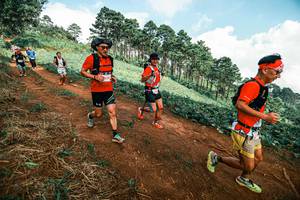 BIB: 
                            <button type="button" onclick="openModal(25511848)" class="btn btn-primary btn-sm float-right btn-popup" data-toggle="modal" data-target=".modal-high-quality">
                        <i class="fas fa-shopping-cart"></i> Add to Cart
                    </button>
                                            <button type="button" onclick="isThisMe(25511848, true)" class="btn btn-success btn-sm float-right btn-popup btn-isme hidden" data-toggle="tooltip" data-placement="bottom" title="นี่คือรูปของคุณใช่ไหม คลิกที่นี่เพื่อเอาเข้าอัลบั้ม">
                        <i class="fas fa-plus"></i> Add to album
                    </button>
                    <button type="button" onclick="isThisMe(25511848, false)" class="btn btn-warning btn-sm float-right btn-popup btn-isnotme hidden">
                        <i class="fas fa-ban"></i> Remove from album
                    </button>