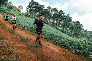 BIB: 
                            <button type="button" onclick="openModal(25506022)" class="btn btn-primary btn-sm float-right btn-popup" data-toggle="modal" data-target=".modal-high-quality">
                        <i class="fas fa-shopping-cart"></i> Add to Cart
                    </button>
                                            <button type="button" onclick="isThisMe(25506022, true)" class="btn btn-success btn-sm float-right btn-popup btn-isme hidden" data-toggle="tooltip" data-placement="bottom" title="นี่คือรูปของคุณใช่ไหม คลิกที่นี่เพื่อเอาเข้าอัลบั้ม">
                        <i class="fas fa-plus"></i> Add to album
                    </button>
                    <button type="button" onclick="isThisMe(25506022, false)" class="btn btn-warning btn-sm float-right btn-popup btn-isnotme hidden">
                        <i class="fas fa-ban"></i> Remove from album
                    </button>