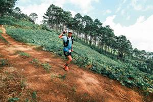 BIB: 
                            <button type="button" onclick="openModal(25509106)" class="btn btn-primary btn-sm float-right btn-popup" data-toggle="modal" data-target=".modal-high-quality">
                        <i class="fas fa-shopping-cart"></i> Add to Cart
                    </button>
                                            <button type="button" onclick="isThisMe(25509106, true)" class="btn btn-success btn-sm float-right btn-popup btn-isme hidden" data-toggle="tooltip" data-placement="bottom" title="นี่คือรูปของคุณใช่ไหม คลิกที่นี่เพื่อเอาเข้าอัลบั้ม">
                        <i class="fas fa-plus"></i> Add to album
                    </button>
                    <button type="button" onclick="isThisMe(25509106, false)" class="btn btn-warning btn-sm float-right btn-popup btn-isnotme hidden">
                        <i class="fas fa-ban"></i> Remove from album
                    </button>