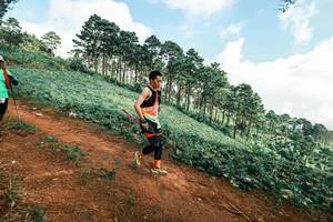 BIB: 
                            <button type="button" onclick="openModal(25508798)" class="btn btn-primary btn-sm float-right btn-popup" data-toggle="modal" data-target=".modal-high-quality">
                        <i class="fas fa-shopping-cart"></i> Add to Cart
                    </button>
                                            <button type="button" onclick="isThisMe(25508798, true)" class="btn btn-success btn-sm float-right btn-popup btn-isme hidden" data-toggle="tooltip" data-placement="bottom" title="นี่คือรูปของคุณใช่ไหม คลิกที่นี่เพื่อเอาเข้าอัลบั้ม">
                        <i class="fas fa-plus"></i> Add to album
                    </button>
                    <button type="button" onclick="isThisMe(25508798, false)" class="btn btn-warning btn-sm float-right btn-popup btn-isnotme hidden">
                        <i class="fas fa-ban"></i> Remove from album
                    </button>