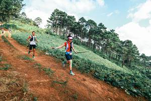 BIB: 
                            <button type="button" onclick="openModal(25510791)" class="btn btn-primary btn-sm float-right btn-popup" data-toggle="modal" data-target=".modal-high-quality">
                        <i class="fas fa-shopping-cart"></i> Add to Cart
                    </button>
                                            <button type="button" onclick="isThisMe(25510791, true)" class="btn btn-success btn-sm float-right btn-popup btn-isme hidden" data-toggle="tooltip" data-placement="bottom" title="นี่คือรูปของคุณใช่ไหม คลิกที่นี่เพื่อเอาเข้าอัลบั้ม">
                        <i class="fas fa-plus"></i> Add to album
                    </button>
                    <button type="button" onclick="isThisMe(25510791, false)" class="btn btn-warning btn-sm float-right btn-popup btn-isnotme hidden">
                        <i class="fas fa-ban"></i> Remove from album
                    </button>