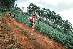 BIB: 
                            <button type="button" onclick="openModal(25515895)" class="btn btn-primary btn-sm float-right btn-popup" data-toggle="modal" data-target=".modal-high-quality">
                        <i class="fas fa-shopping-cart"></i> Add to Cart
                    </button>
                                            <button type="button" onclick="isThisMe(25515895, true)" class="btn btn-success btn-sm float-right btn-popup btn-isme hidden" data-toggle="tooltip" data-placement="bottom" title="นี่คือรูปของคุณใช่ไหม คลิกที่นี่เพื่อเอาเข้าอัลบั้ม">
                        <i class="fas fa-plus"></i> Add to album
                    </button>
                    <button type="button" onclick="isThisMe(25515895, false)" class="btn btn-warning btn-sm float-right btn-popup btn-isnotme hidden">
                        <i class="fas fa-ban"></i> Remove from album
                    </button>