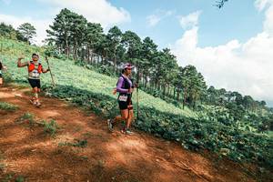 BIB: 
                            <button type="button" onclick="openModal(25508498)" class="btn btn-primary btn-sm float-right btn-popup" data-toggle="modal" data-target=".modal-high-quality">
                        <i class="fas fa-shopping-cart"></i> Add to Cart
                    </button>
                                            <button type="button" onclick="isThisMe(25508498, true)" class="btn btn-success btn-sm float-right btn-popup btn-isme hidden" data-toggle="tooltip" data-placement="bottom" title="นี่คือรูปของคุณใช่ไหม คลิกที่นี่เพื่อเอาเข้าอัลบั้ม">
                        <i class="fas fa-plus"></i> Add to album
                    </button>
                    <button type="button" onclick="isThisMe(25508498, false)" class="btn btn-warning btn-sm float-right btn-popup btn-isnotme hidden">
                        <i class="fas fa-ban"></i> Remove from album
                    </button>