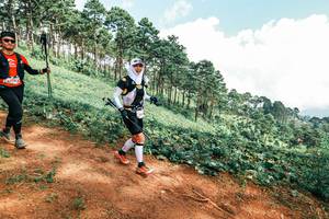 BIB: 
                            <button type="button" onclick="openModal(25511525)" class="btn btn-primary btn-sm float-right btn-popup" data-toggle="modal" data-target=".modal-high-quality">
                        <i class="fas fa-shopping-cart"></i> Add to Cart
                    </button>
                                            <button type="button" onclick="isThisMe(25511525, true)" class="btn btn-success btn-sm float-right btn-popup btn-isme hidden" data-toggle="tooltip" data-placement="bottom" title="นี่คือรูปของคุณใช่ไหม คลิกที่นี่เพื่อเอาเข้าอัลบั้ม">
                        <i class="fas fa-plus"></i> Add to album
                    </button>
                    <button type="button" onclick="isThisMe(25511525, false)" class="btn btn-warning btn-sm float-right btn-popup btn-isnotme hidden">
                        <i class="fas fa-ban"></i> Remove from album
                    </button>