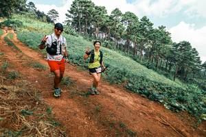 BIB: 
                            <button type="button" onclick="openModal(25505951)" class="btn btn-primary btn-sm float-right btn-popup" data-toggle="modal" data-target=".modal-high-quality">
                        <i class="fas fa-shopping-cart"></i> Add to Cart
                    </button>
                                            <button type="button" onclick="isThisMe(25505951, true)" class="btn btn-success btn-sm float-right btn-popup btn-isme hidden" data-toggle="tooltip" data-placement="bottom" title="นี่คือรูปของคุณใช่ไหม คลิกที่นี่เพื่อเอาเข้าอัลบั้ม">
                        <i class="fas fa-plus"></i> Add to album
                    </button>
                    <button type="button" onclick="isThisMe(25505951, false)" class="btn btn-warning btn-sm float-right btn-popup btn-isnotme hidden">
                        <i class="fas fa-ban"></i> Remove from album
                    </button>