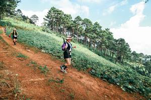 BIB: 
                            <button type="button" onclick="openModal(25508295)" class="btn btn-primary btn-sm float-right btn-popup" data-toggle="modal" data-target=".modal-high-quality">
                        <i class="fas fa-shopping-cart"></i> Add to Cart
                    </button>
                                            <button type="button" onclick="isThisMe(25508295, true)" class="btn btn-success btn-sm float-right btn-popup btn-isme hidden" data-toggle="tooltip" data-placement="bottom" title="นี่คือรูปของคุณใช่ไหม คลิกที่นี่เพื่อเอาเข้าอัลบั้ม">
                        <i class="fas fa-plus"></i> Add to album
                    </button>
                    <button type="button" onclick="isThisMe(25508295, false)" class="btn btn-warning btn-sm float-right btn-popup btn-isnotme hidden">
                        <i class="fas fa-ban"></i> Remove from album
                    </button>