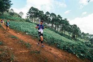 BIB: 
                            <button type="button" onclick="openModal(25507979)" class="btn btn-primary btn-sm float-right btn-popup" data-toggle="modal" data-target=".modal-high-quality">
                        <i class="fas fa-shopping-cart"></i> Add to Cart
                    </button>
                                            <button type="button" onclick="isThisMe(25507979, true)" class="btn btn-success btn-sm float-right btn-popup btn-isme hidden" data-toggle="tooltip" data-placement="bottom" title="นี่คือรูปของคุณใช่ไหม คลิกที่นี่เพื่อเอาเข้าอัลบั้ม">
                        <i class="fas fa-plus"></i> Add to album
                    </button>
                    <button type="button" onclick="isThisMe(25507979, false)" class="btn btn-warning btn-sm float-right btn-popup btn-isnotme hidden">
                        <i class="fas fa-ban"></i> Remove from album
                    </button>