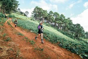 BIB: 
                            <button type="button" onclick="openModal(25508288)" class="btn btn-primary btn-sm float-right btn-popup" data-toggle="modal" data-target=".modal-high-quality">
                        <i class="fas fa-shopping-cart"></i> Add to Cart
                    </button>
                                            <button type="button" onclick="isThisMe(25508288, true)" class="btn btn-success btn-sm float-right btn-popup btn-isme hidden" data-toggle="tooltip" data-placement="bottom" title="นี่คือรูปของคุณใช่ไหม คลิกที่นี่เพื่อเอาเข้าอัลบั้ม">
                        <i class="fas fa-plus"></i> Add to album
                    </button>
                    <button type="button" onclick="isThisMe(25508288, false)" class="btn btn-warning btn-sm float-right btn-popup btn-isnotme hidden">
                        <i class="fas fa-ban"></i> Remove from album
                    </button>