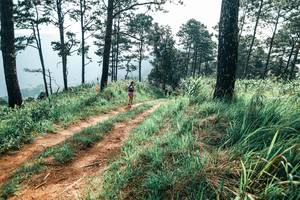 BIB: 
                            <button type="button" onclick="openModal(25510570)" class="btn btn-primary btn-sm float-right btn-popup" data-toggle="modal" data-target=".modal-high-quality">
                        <i class="fas fa-shopping-cart"></i> Add to Cart
                    </button>
                                            <button type="button" onclick="isThisMe(25510570, true)" class="btn btn-success btn-sm float-right btn-popup btn-isme hidden" data-toggle="tooltip" data-placement="bottom" title="นี่คือรูปของคุณใช่ไหม คลิกที่นี่เพื่อเอาเข้าอัลบั้ม">
                        <i class="fas fa-plus"></i> Add to album
                    </button>
                    <button type="button" onclick="isThisMe(25510570, false)" class="btn btn-warning btn-sm float-right btn-popup btn-isnotme hidden">
                        <i class="fas fa-ban"></i> Remove from album
                    </button>