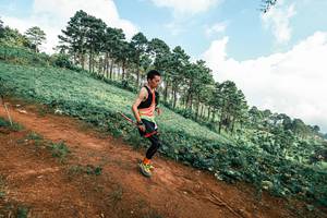 BIB: 
                            <button type="button" onclick="openModal(25508812)" class="btn btn-primary btn-sm float-right btn-popup" data-toggle="modal" data-target=".modal-high-quality">
                        <i class="fas fa-shopping-cart"></i> Add to Cart
                    </button>
                                            <button type="button" onclick="isThisMe(25508812, true)" class="btn btn-success btn-sm float-right btn-popup btn-isme hidden" data-toggle="tooltip" data-placement="bottom" title="นี่คือรูปของคุณใช่ไหม คลิกที่นี่เพื่อเอาเข้าอัลบั้ม">
                        <i class="fas fa-plus"></i> Add to album
                    </button>
                    <button type="button" onclick="isThisMe(25508812, false)" class="btn btn-warning btn-sm float-right btn-popup btn-isnotme hidden">
                        <i class="fas fa-ban"></i> Remove from album
                    </button>