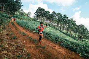 BIB: 
                            <button type="button" onclick="openModal(25508850)" class="btn btn-primary btn-sm float-right btn-popup" data-toggle="modal" data-target=".modal-high-quality">
                        <i class="fas fa-shopping-cart"></i> Add to Cart
                    </button>
                                            <button type="button" onclick="isThisMe(25508850, true)" class="btn btn-success btn-sm float-right btn-popup btn-isme hidden" data-toggle="tooltip" data-placement="bottom" title="นี่คือรูปของคุณใช่ไหม คลิกที่นี่เพื่อเอาเข้าอัลบั้ม">
                        <i class="fas fa-plus"></i> Add to album
                    </button>
                    <button type="button" onclick="isThisMe(25508850, false)" class="btn btn-warning btn-sm float-right btn-popup btn-isnotme hidden">
                        <i class="fas fa-ban"></i> Remove from album
                    </button>