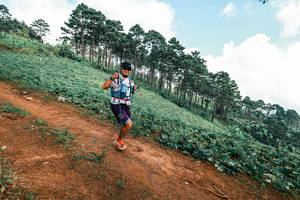 BIB: 
                            <button type="button" onclick="openModal(25509948)" class="btn btn-primary btn-sm float-right btn-popup" data-toggle="modal" data-target=".modal-high-quality">
                        <i class="fas fa-shopping-cart"></i> Add to Cart
                    </button>
                                            <button type="button" onclick="isThisMe(25509948, true)" class="btn btn-success btn-sm float-right btn-popup btn-isme hidden" data-toggle="tooltip" data-placement="bottom" title="นี่คือรูปของคุณใช่ไหม คลิกที่นี่เพื่อเอาเข้าอัลบั้ม">
                        <i class="fas fa-plus"></i> Add to album
                    </button>
                    <button type="button" onclick="isThisMe(25509948, false)" class="btn btn-warning btn-sm float-right btn-popup btn-isnotme hidden">
                        <i class="fas fa-ban"></i> Remove from album
                    </button>