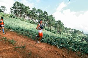 BIB: 
                            <button type="button" onclick="openModal(25511000)" class="btn btn-primary btn-sm float-right btn-popup" data-toggle="modal" data-target=".modal-high-quality">
                        <i class="fas fa-shopping-cart"></i> Add to Cart
                    </button>
                                            <button type="button" onclick="isThisMe(25511000, true)" class="btn btn-success btn-sm float-right btn-popup btn-isme hidden" data-toggle="tooltip" data-placement="bottom" title="นี่คือรูปของคุณใช่ไหม คลิกที่นี่เพื่อเอาเข้าอัลบั้ม">
                        <i class="fas fa-plus"></i> Add to album
                    </button>
                    <button type="button" onclick="isThisMe(25511000, false)" class="btn btn-warning btn-sm float-right btn-popup btn-isnotme hidden">
                        <i class="fas fa-ban"></i> Remove from album
                    </button>