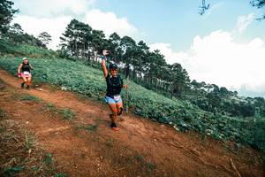 BIB: 
                            <button type="button" onclick="openModal(25513200)" class="btn btn-primary btn-sm float-right btn-popup" data-toggle="modal" data-target=".modal-high-quality">
                        <i class="fas fa-shopping-cart"></i> Add to Cart
                    </button>
                                            <button type="button" onclick="isThisMe(25513200, true)" class="btn btn-success btn-sm float-right btn-popup btn-isme hidden" data-toggle="tooltip" data-placement="bottom" title="นี่คือรูปของคุณใช่ไหม คลิกที่นี่เพื่อเอาเข้าอัลบั้ม">
                        <i class="fas fa-plus"></i> Add to album
                    </button>
                    <button type="button" onclick="isThisMe(25513200, false)" class="btn btn-warning btn-sm float-right btn-popup btn-isnotme hidden">
                        <i class="fas fa-ban"></i> Remove from album
                    </button>