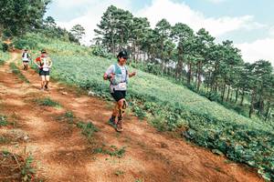 BIB: 
                            <button type="button" onclick="openModal(25506655)" class="btn btn-primary btn-sm float-right btn-popup" data-toggle="modal" data-target=".modal-high-quality">
                        <i class="fas fa-shopping-cart"></i> Add to Cart
                    </button>
                                            <button type="button" onclick="isThisMe(25506655, true)" class="btn btn-success btn-sm float-right btn-popup btn-isme hidden" data-toggle="tooltip" data-placement="bottom" title="นี่คือรูปของคุณใช่ไหม คลิกที่นี่เพื่อเอาเข้าอัลบั้ม">
                        <i class="fas fa-plus"></i> Add to album
                    </button>
                    <button type="button" onclick="isThisMe(25506655, false)" class="btn btn-warning btn-sm float-right btn-popup btn-isnotme hidden">
                        <i class="fas fa-ban"></i> Remove from album
                    </button>