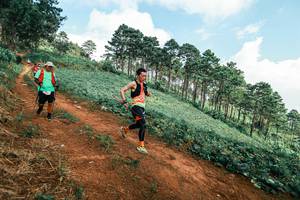 BIB: 
                            <button type="button" onclick="openModal(25508791)" class="btn btn-primary btn-sm float-right btn-popup" data-toggle="modal" data-target=".modal-high-quality">
                        <i class="fas fa-shopping-cart"></i> Add to Cart
                    </button>
                                            <button type="button" onclick="isThisMe(25508791, true)" class="btn btn-success btn-sm float-right btn-popup btn-isme hidden" data-toggle="tooltip" data-placement="bottom" title="นี่คือรูปของคุณใช่ไหม คลิกที่นี่เพื่อเอาเข้าอัลบั้ม">
                        <i class="fas fa-plus"></i> Add to album
                    </button>
                    <button type="button" onclick="isThisMe(25508791, false)" class="btn btn-warning btn-sm float-right btn-popup btn-isnotme hidden">
                        <i class="fas fa-ban"></i> Remove from album
                    </button>