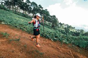 BIB: 
                            <button type="button" onclick="openModal(25516030)" class="btn btn-primary btn-sm float-right btn-popup" data-toggle="modal" data-target=".modal-high-quality">
                        <i class="fas fa-shopping-cart"></i> Add to Cart
                    </button>
                                            <button type="button" onclick="isThisMe(25516030, true)" class="btn btn-success btn-sm float-right btn-popup btn-isme hidden" data-toggle="tooltip" data-placement="bottom" title="นี่คือรูปของคุณใช่ไหม คลิกที่นี่เพื่อเอาเข้าอัลบั้ม">
                        <i class="fas fa-plus"></i> Add to album
                    </button>
                    <button type="button" onclick="isThisMe(25516030, false)" class="btn btn-warning btn-sm float-right btn-popup btn-isnotme hidden">
                        <i class="fas fa-ban"></i> Remove from album
                    </button>