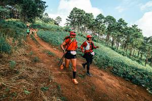 BIB: 
                            <button type="button" onclick="openModal(25508763)" class="btn btn-primary btn-sm float-right btn-popup" data-toggle="modal" data-target=".modal-high-quality">
                        <i class="fas fa-shopping-cart"></i> Add to Cart
                    </button>
                                            <button type="button" onclick="isThisMe(25508763, true)" class="btn btn-success btn-sm float-right btn-popup btn-isme hidden" data-toggle="tooltip" data-placement="bottom" title="นี่คือรูปของคุณใช่ไหม คลิกที่นี่เพื่อเอาเข้าอัลบั้ม">
                        <i class="fas fa-plus"></i> Add to album
                    </button>
                    <button type="button" onclick="isThisMe(25508763, false)" class="btn btn-warning btn-sm float-right btn-popup btn-isnotme hidden">
                        <i class="fas fa-ban"></i> Remove from album
                    </button>