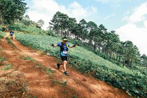 BIB: 
                            <button type="button" onclick="openModal(25510915)" class="btn btn-primary btn-sm float-right btn-popup" data-toggle="modal" data-target=".modal-high-quality">
                        <i class="fas fa-shopping-cart"></i> Add to Cart
                    </button>
                                            <button type="button" onclick="isThisMe(25510915, true)" class="btn btn-success btn-sm float-right btn-popup btn-isme hidden" data-toggle="tooltip" data-placement="bottom" title="นี่คือรูปของคุณใช่ไหม คลิกที่นี่เพื่อเอาเข้าอัลบั้ม">
                        <i class="fas fa-plus"></i> Add to album
                    </button>
                    <button type="button" onclick="isThisMe(25510915, false)" class="btn btn-warning btn-sm float-right btn-popup btn-isnotme hidden">
                        <i class="fas fa-ban"></i> Remove from album
                    </button>