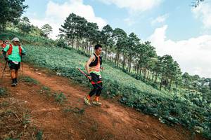 BIB: 
                            <button type="button" onclick="openModal(25508800)" class="btn btn-primary btn-sm float-right btn-popup" data-toggle="modal" data-target=".modal-high-quality">
                        <i class="fas fa-shopping-cart"></i> Add to Cart
                    </button>
                                            <button type="button" onclick="isThisMe(25508800, true)" class="btn btn-success btn-sm float-right btn-popup btn-isme hidden" data-toggle="tooltip" data-placement="bottom" title="นี่คือรูปของคุณใช่ไหม คลิกที่นี่เพื่อเอาเข้าอัลบั้ม">
                        <i class="fas fa-plus"></i> Add to album
                    </button>
                    <button type="button" onclick="isThisMe(25508800, false)" class="btn btn-warning btn-sm float-right btn-popup btn-isnotme hidden">
                        <i class="fas fa-ban"></i> Remove from album
                    </button>