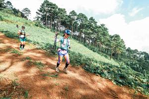 BIB: 
                            <button type="button" onclick="openModal(25517135)" class="btn btn-primary btn-sm float-right btn-popup" data-toggle="modal" data-target=".modal-high-quality">
                        <i class="fas fa-shopping-cart"></i> Add to Cart
                    </button>
                                            <button type="button" onclick="isThisMe(25517135, true)" class="btn btn-success btn-sm float-right btn-popup btn-isme hidden" data-toggle="tooltip" data-placement="bottom" title="นี่คือรูปของคุณใช่ไหม คลิกที่นี่เพื่อเอาเข้าอัลบั้ม">
                        <i class="fas fa-plus"></i> Add to album
                    </button>
                    <button type="button" onclick="isThisMe(25517135, false)" class="btn btn-warning btn-sm float-right btn-popup btn-isnotme hidden">
                        <i class="fas fa-ban"></i> Remove from album
                    </button>