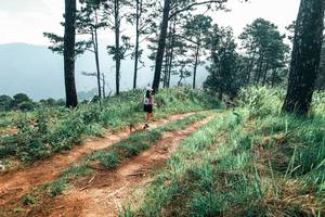 BIB: 
                            <button type="button" onclick="openModal(25510678)" class="btn btn-primary btn-sm float-right btn-popup" data-toggle="modal" data-target=".modal-high-quality">
                        <i class="fas fa-shopping-cart"></i> Add to Cart
                    </button>
                                            <button type="button" onclick="isThisMe(25510678, true)" class="btn btn-success btn-sm float-right btn-popup btn-isme hidden" data-toggle="tooltip" data-placement="bottom" title="นี่คือรูปของคุณใช่ไหม คลิกที่นี่เพื่อเอาเข้าอัลบั้ม">
                        <i class="fas fa-plus"></i> Add to album
                    </button>
                    <button type="button" onclick="isThisMe(25510678, false)" class="btn btn-warning btn-sm float-right btn-popup btn-isnotme hidden">
                        <i class="fas fa-ban"></i> Remove from album
                    </button>