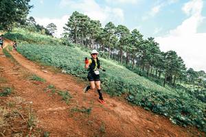 BIB: 
                            <button type="button" onclick="openModal(25508327)" class="btn btn-primary btn-sm float-right btn-popup" data-toggle="modal" data-target=".modal-high-quality">
                        <i class="fas fa-shopping-cart"></i> Add to Cart
                    </button>
                                            <button type="button" onclick="isThisMe(25508327, true)" class="btn btn-success btn-sm float-right btn-popup btn-isme hidden" data-toggle="tooltip" data-placement="bottom" title="นี่คือรูปของคุณใช่ไหม คลิกที่นี่เพื่อเอาเข้าอัลบั้ม">
                        <i class="fas fa-plus"></i> Add to album
                    </button>
                    <button type="button" onclick="isThisMe(25508327, false)" class="btn btn-warning btn-sm float-right btn-popup btn-isnotme hidden">
                        <i class="fas fa-ban"></i> Remove from album
                    </button>