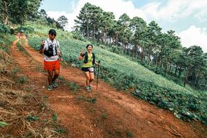 BIB: 
                            <button type="button" onclick="openModal(25505942)" class="btn btn-primary btn-sm float-right btn-popup" data-toggle="modal" data-target=".modal-high-quality">
                        <i class="fas fa-shopping-cart"></i> Add to Cart
                    </button>
                                            <button type="button" onclick="isThisMe(25505942, true)" class="btn btn-success btn-sm float-right btn-popup btn-isme hidden" data-toggle="tooltip" data-placement="bottom" title="นี่คือรูปของคุณใช่ไหม คลิกที่นี่เพื่อเอาเข้าอัลบั้ม">
                        <i class="fas fa-plus"></i> Add to album
                    </button>
                    <button type="button" onclick="isThisMe(25505942, false)" class="btn btn-warning btn-sm float-right btn-popup btn-isnotme hidden">
                        <i class="fas fa-ban"></i> Remove from album
                    </button>