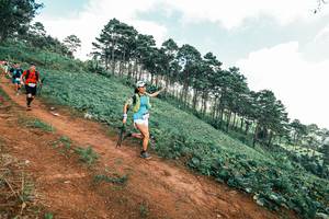 BIB: 
                            <button type="button" onclick="openModal(25515482)" class="btn btn-primary btn-sm float-right btn-popup" data-toggle="modal" data-target=".modal-high-quality">
                        <i class="fas fa-shopping-cart"></i> Add to Cart
                    </button>
                                            <button type="button" onclick="isThisMe(25515482, true)" class="btn btn-success btn-sm float-right btn-popup btn-isme hidden" data-toggle="tooltip" data-placement="bottom" title="นี่คือรูปของคุณใช่ไหม คลิกที่นี่เพื่อเอาเข้าอัลบั้ม">
                        <i class="fas fa-plus"></i> Add to album
                    </button>
                    <button type="button" onclick="isThisMe(25515482, false)" class="btn btn-warning btn-sm float-right btn-popup btn-isnotme hidden">
                        <i class="fas fa-ban"></i> Remove from album
                    </button>