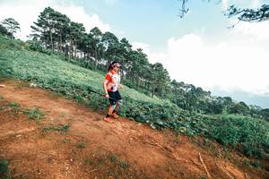 BIB: 
                            <button type="button" onclick="openModal(25513450)" class="btn btn-primary btn-sm float-right btn-popup" data-toggle="modal" data-target=".modal-high-quality">
                        <i class="fas fa-shopping-cart"></i> Add to Cart
                    </button>
                                            <button type="button" onclick="isThisMe(25513450, true)" class="btn btn-success btn-sm float-right btn-popup btn-isme hidden" data-toggle="tooltip" data-placement="bottom" title="นี่คือรูปของคุณใช่ไหม คลิกที่นี่เพื่อเอาเข้าอัลบั้ม">
                        <i class="fas fa-plus"></i> Add to album
                    </button>
                    <button type="button" onclick="isThisMe(25513450, false)" class="btn btn-warning btn-sm float-right btn-popup btn-isnotme hidden">
                        <i class="fas fa-ban"></i> Remove from album
                    </button>