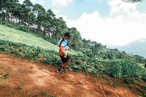 BIB: 
                            <button type="button" onclick="openModal(25509471)" class="btn btn-primary btn-sm float-right btn-popup" data-toggle="modal" data-target=".modal-high-quality">
                        <i class="fas fa-shopping-cart"></i> Add to Cart
                    </button>
                                            <button type="button" onclick="isThisMe(25509471, true)" class="btn btn-success btn-sm float-right btn-popup btn-isme hidden" data-toggle="tooltip" data-placement="bottom" title="นี่คือรูปของคุณใช่ไหม คลิกที่นี่เพื่อเอาเข้าอัลบั้ม">
                        <i class="fas fa-plus"></i> Add to album
                    </button>
                    <button type="button" onclick="isThisMe(25509471, false)" class="btn btn-warning btn-sm float-right btn-popup btn-isnotme hidden">
                        <i class="fas fa-ban"></i> Remove from album
                    </button>