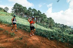 BIB: 
                            <button type="button" onclick="openModal(25508527)" class="btn btn-primary btn-sm float-right btn-popup" data-toggle="modal" data-target=".modal-high-quality">
                        <i class="fas fa-shopping-cart"></i> Add to Cart
                    </button>
                                            <button type="button" onclick="isThisMe(25508527, true)" class="btn btn-success btn-sm float-right btn-popup btn-isme hidden" data-toggle="tooltip" data-placement="bottom" title="นี่คือรูปของคุณใช่ไหม คลิกที่นี่เพื่อเอาเข้าอัลบั้ม">
                        <i class="fas fa-plus"></i> Add to album
                    </button>
                    <button type="button" onclick="isThisMe(25508527, false)" class="btn btn-warning btn-sm float-right btn-popup btn-isnotme hidden">
                        <i class="fas fa-ban"></i> Remove from album
                    </button>