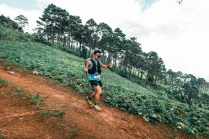 BIB: 
                            <button type="button" onclick="openModal(25505700)" class="btn btn-primary btn-sm float-right btn-popup" data-toggle="modal" data-target=".modal-high-quality">
                        <i class="fas fa-shopping-cart"></i> Add to Cart
                    </button>
                                            <button type="button" onclick="isThisMe(25505700, true)" class="btn btn-success btn-sm float-right btn-popup btn-isme hidden" data-toggle="tooltip" data-placement="bottom" title="นี่คือรูปของคุณใช่ไหม คลิกที่นี่เพื่อเอาเข้าอัลบั้ม">
                        <i class="fas fa-plus"></i> Add to album
                    </button>
                    <button type="button" onclick="isThisMe(25505700, false)" class="btn btn-warning btn-sm float-right btn-popup btn-isnotme hidden">
                        <i class="fas fa-ban"></i> Remove from album
                    </button>