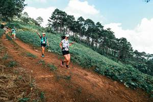 BIB: 
                            <button type="button" onclick="openModal(25512870)" class="btn btn-primary btn-sm float-right btn-popup" data-toggle="modal" data-target=".modal-high-quality">
                        <i class="fas fa-shopping-cart"></i> Add to Cart
                    </button>
                                            <button type="button" onclick="isThisMe(25512870, true)" class="btn btn-success btn-sm float-right btn-popup btn-isme hidden" data-toggle="tooltip" data-placement="bottom" title="นี่คือรูปของคุณใช่ไหม คลิกที่นี่เพื่อเอาเข้าอัลบั้ม">
                        <i class="fas fa-plus"></i> Add to album
                    </button>
                    <button type="button" onclick="isThisMe(25512870, false)" class="btn btn-warning btn-sm float-right btn-popup btn-isnotme hidden">
                        <i class="fas fa-ban"></i> Remove from album
                    </button>