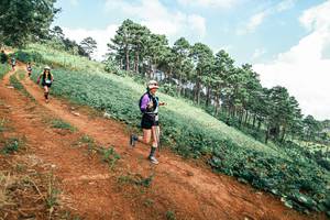 BIB: 
                            <button type="button" onclick="openModal(25508292)" class="btn btn-primary btn-sm float-right btn-popup" data-toggle="modal" data-target=".modal-high-quality">
                        <i class="fas fa-shopping-cart"></i> Add to Cart
                    </button>
                                            <button type="button" onclick="isThisMe(25508292, true)" class="btn btn-success btn-sm float-right btn-popup btn-isme hidden" data-toggle="tooltip" data-placement="bottom" title="นี่คือรูปของคุณใช่ไหม คลิกที่นี่เพื่อเอาเข้าอัลบั้ม">
                        <i class="fas fa-plus"></i> Add to album
                    </button>
                    <button type="button" onclick="isThisMe(25508292, false)" class="btn btn-warning btn-sm float-right btn-popup btn-isnotme hidden">
                        <i class="fas fa-ban"></i> Remove from album
                    </button>