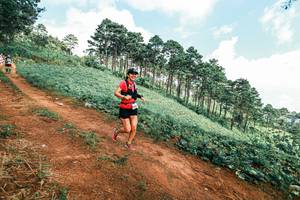 BIB: 
                            <button type="button" onclick="openModal(25508897)" class="btn btn-primary btn-sm float-right btn-popup" data-toggle="modal" data-target=".modal-high-quality">
                        <i class="fas fa-shopping-cart"></i> Add to Cart
                    </button>
                                            <button type="button" onclick="isThisMe(25508897, true)" class="btn btn-success btn-sm float-right btn-popup btn-isme hidden" data-toggle="tooltip" data-placement="bottom" title="นี่คือรูปของคุณใช่ไหม คลิกที่นี่เพื่อเอาเข้าอัลบั้ม">
                        <i class="fas fa-plus"></i> Add to album
                    </button>
                    <button type="button" onclick="isThisMe(25508897, false)" class="btn btn-warning btn-sm float-right btn-popup btn-isnotme hidden">
                        <i class="fas fa-ban"></i> Remove from album
                    </button>